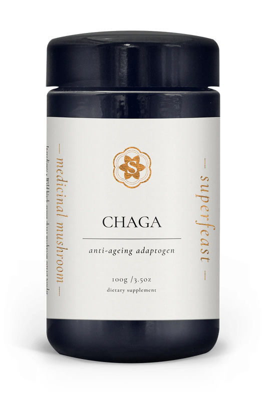 Chaga 100g